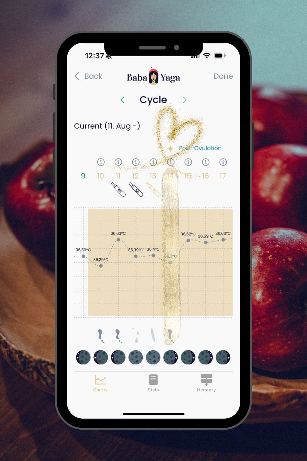 A phone screen displaying the Baba Yaga Cycle Coach app’s temperature chart, showing a post-ovulation shift confirmed through basal body temperature tracking and illustrating how fertility awareness works without prediction.